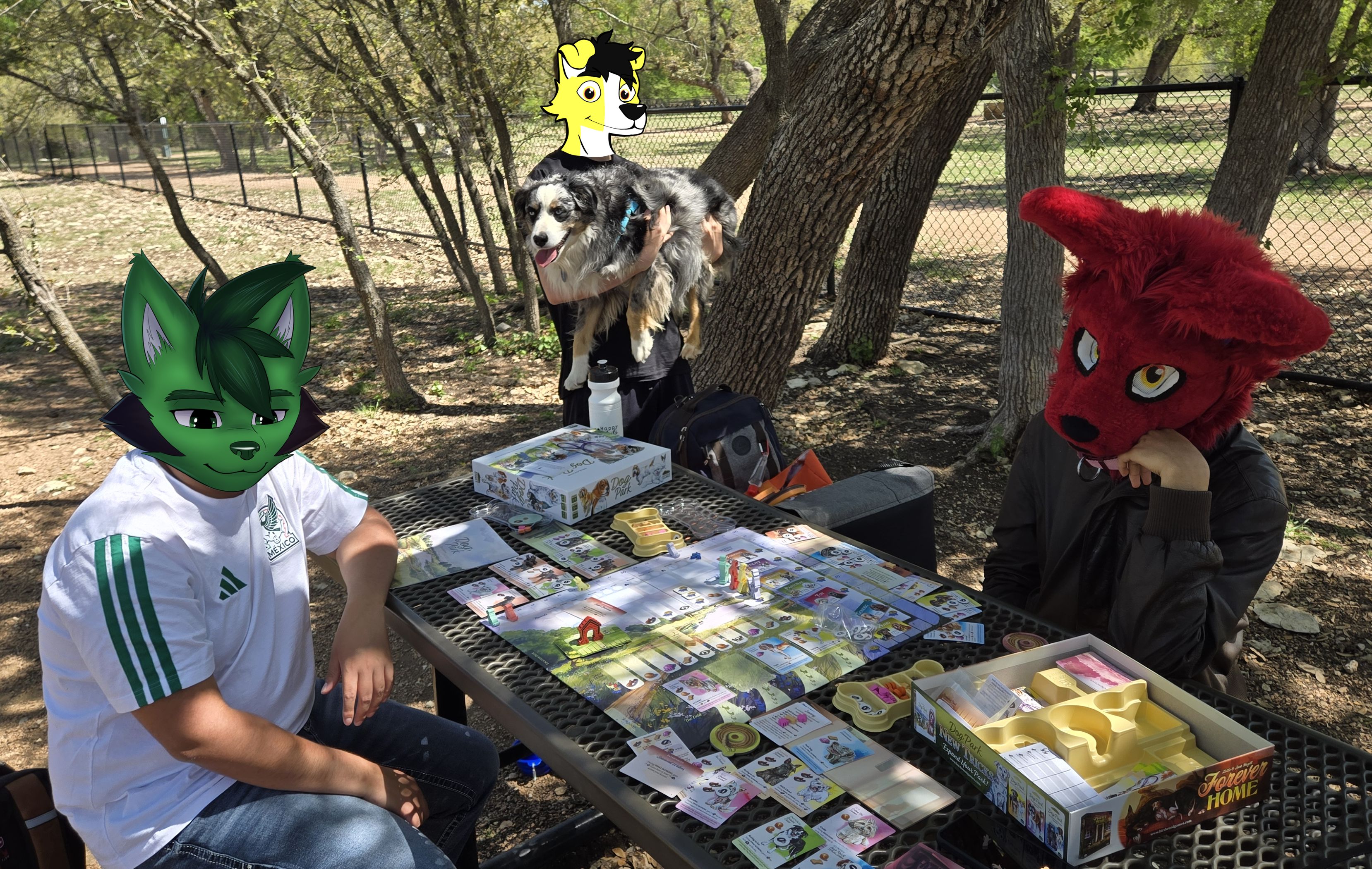 Dog Park (the board game) in the dog park.