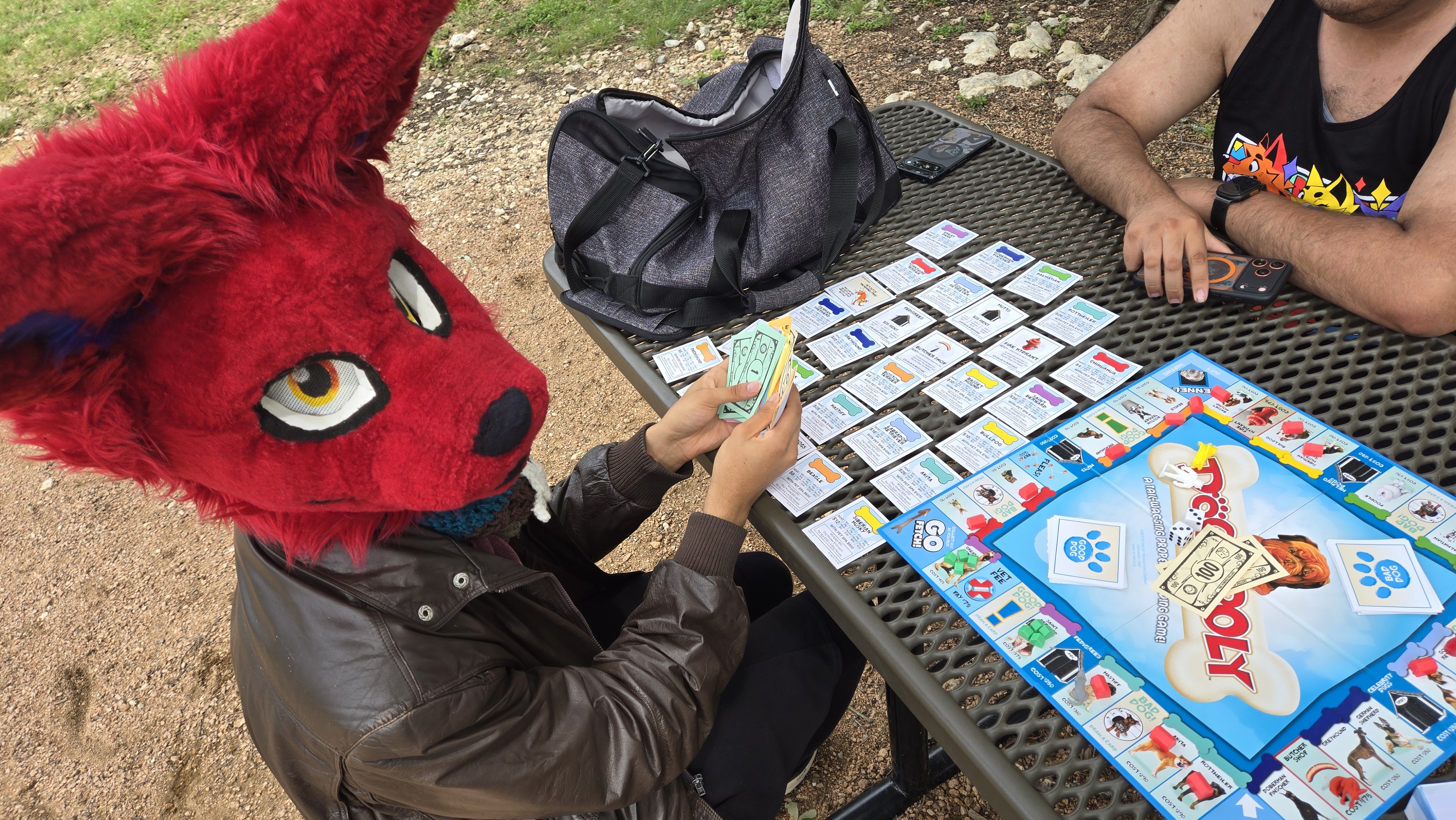 Fenno owning all the properties in Dogopoly.