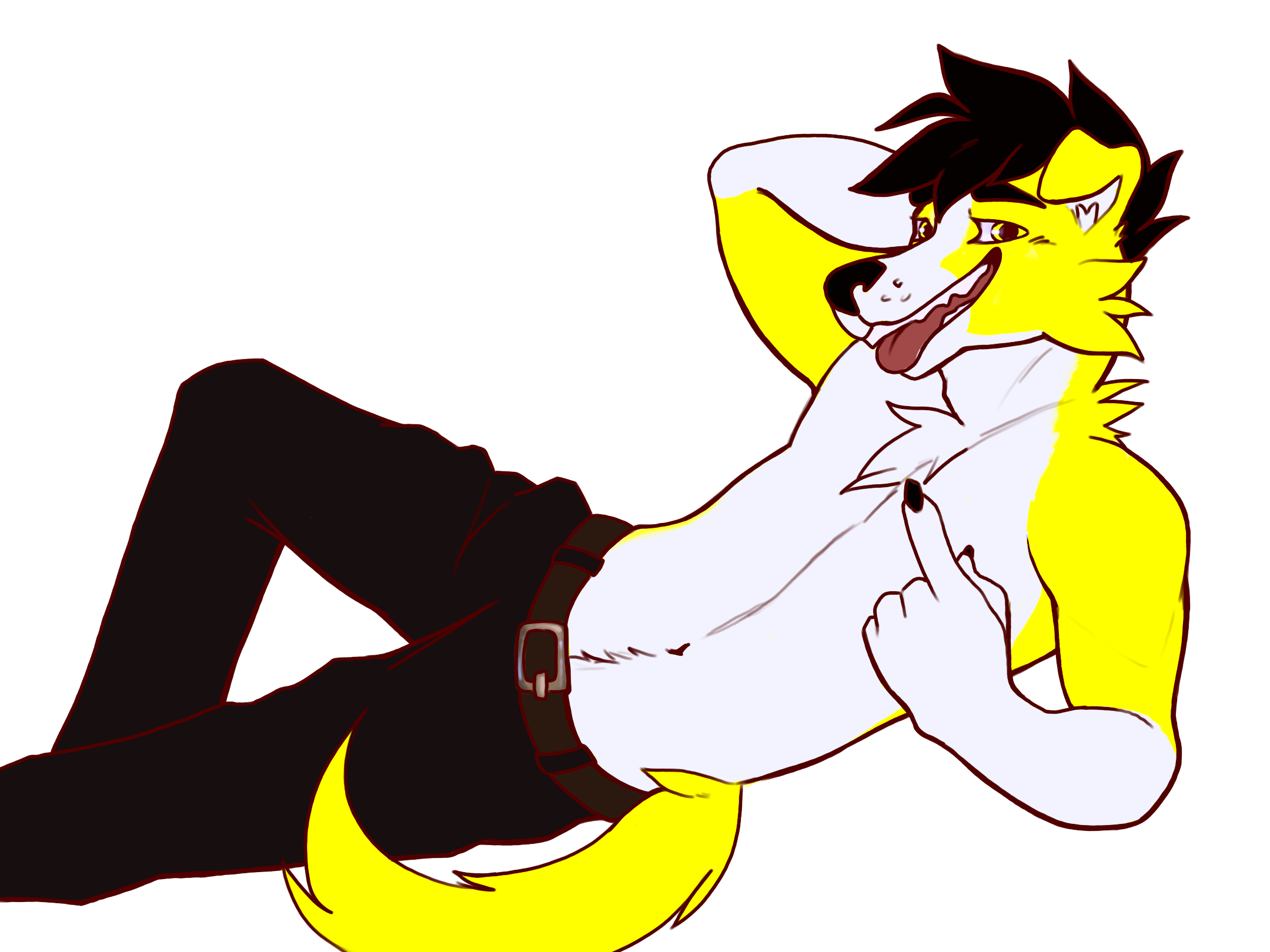 Yellow border collie lying down seductively.